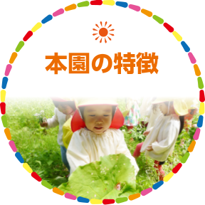 本園の特徴